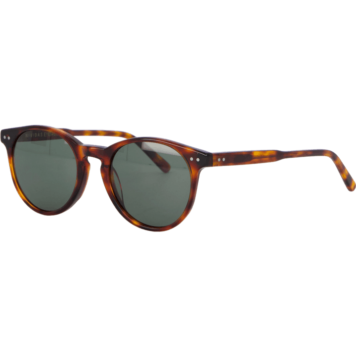 Paris Tortoise Classic