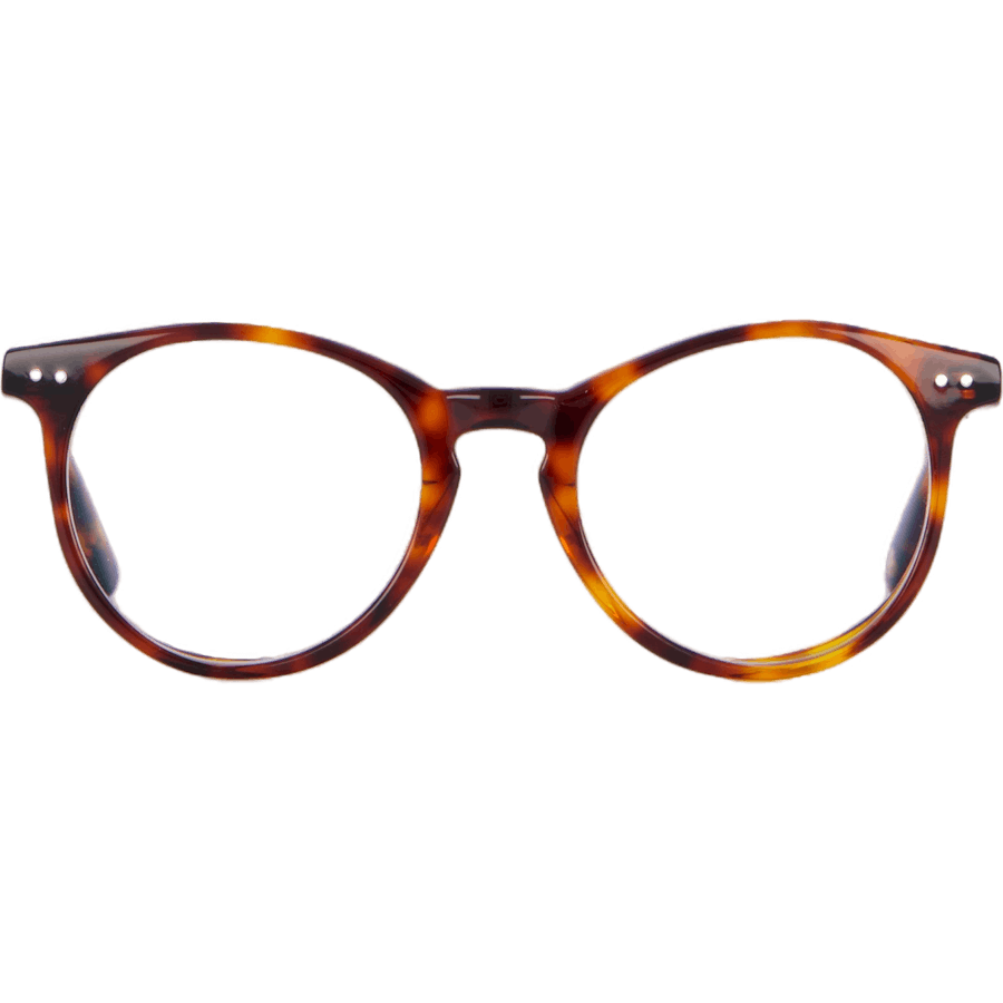 Paris 48-22 Tortoise Classic