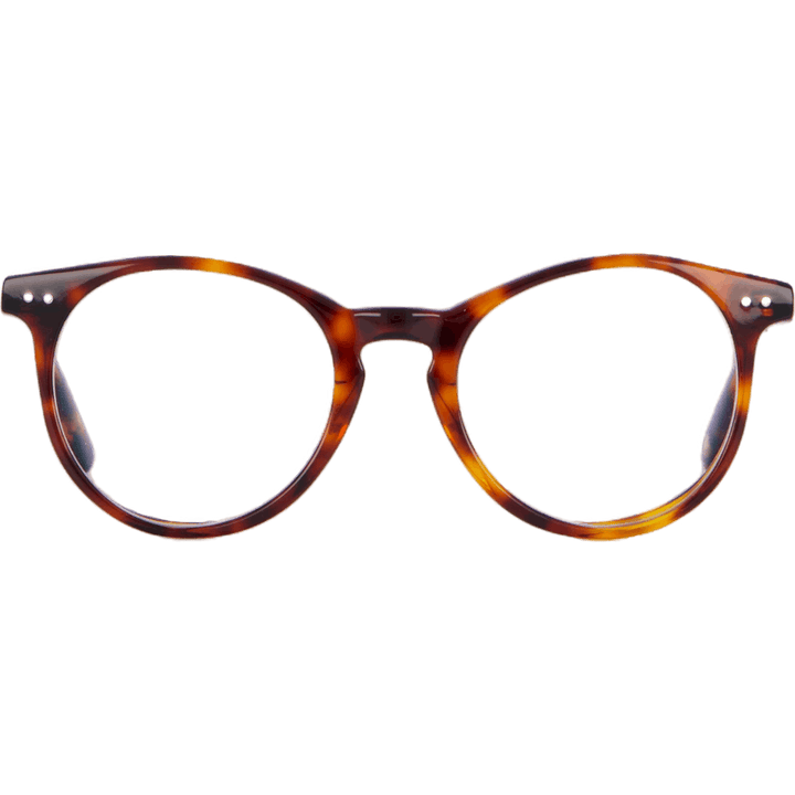 Paris 48-22 Tortoise Classic