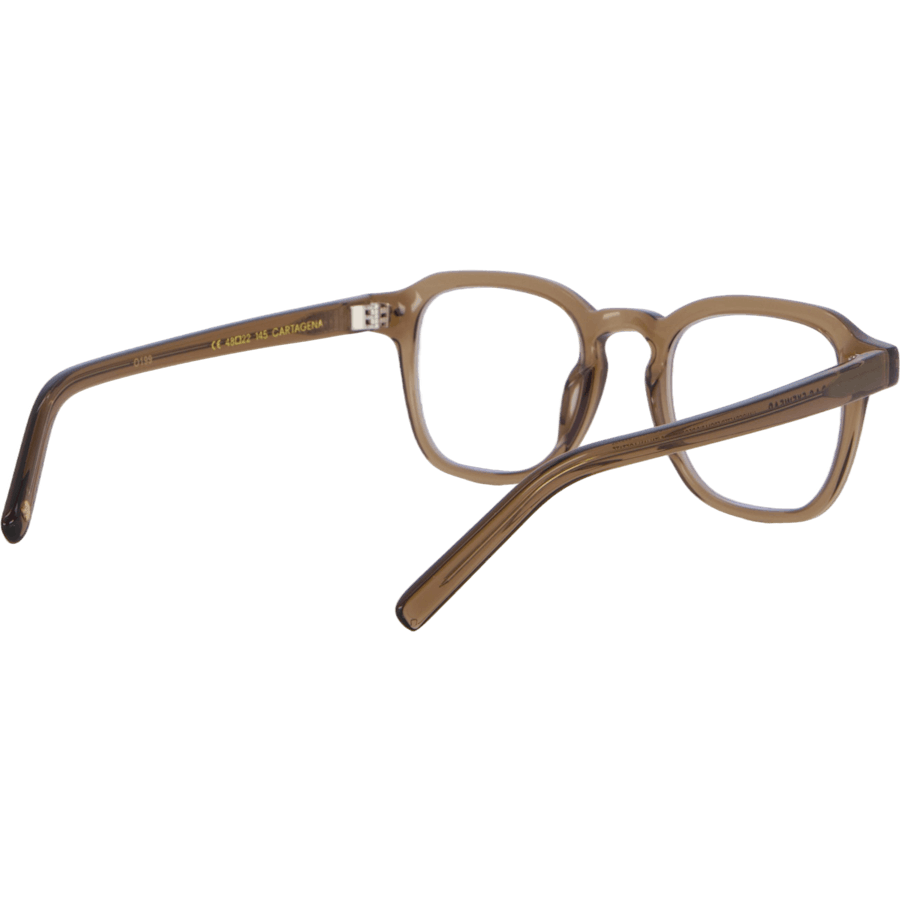Cartagena 48-22 Transparent Brown