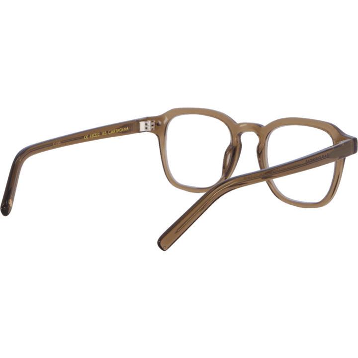 Cartagena 48-22 Transparent Brown