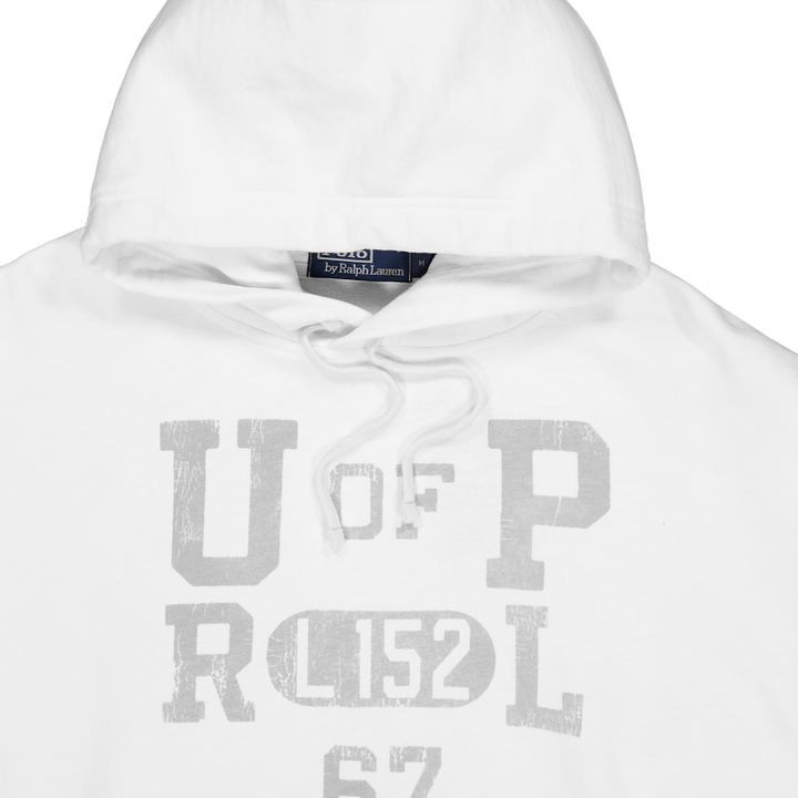 Fleece Graphic Hoodie Nevis / Light Sport Heather