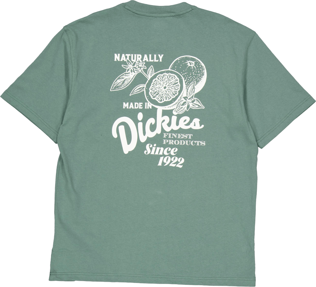 Raven Tee Ss Dark Forest