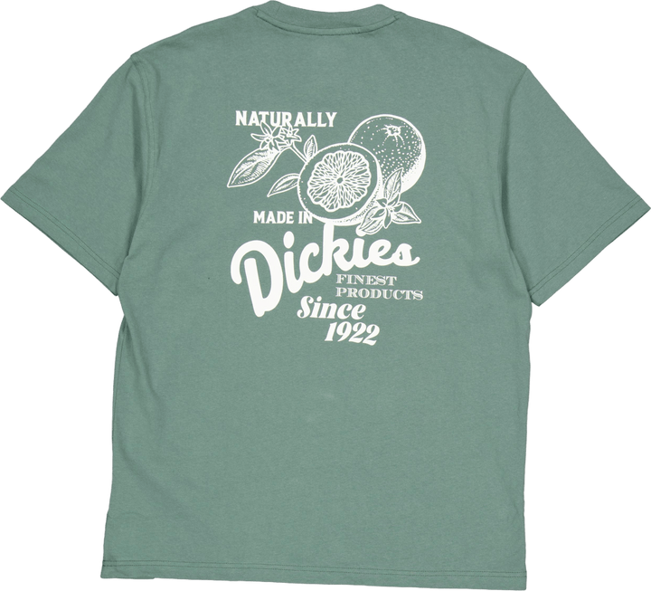 Raven Tee Ss Dark Forest