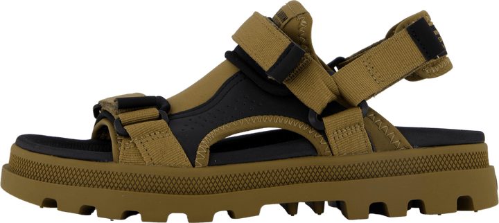Palladune Og Sport Olive
