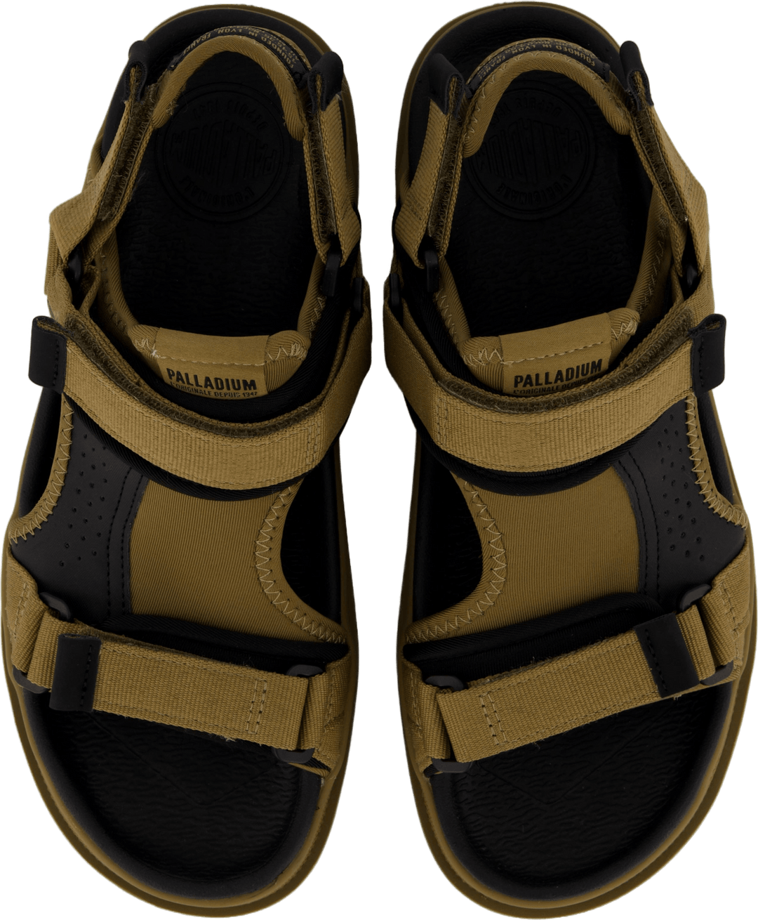 Palladune Og Sport Olive