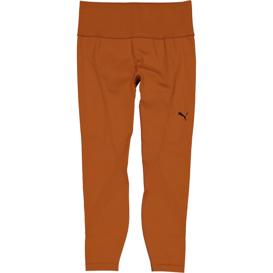 Shapeluxe Seamless Hw Fl Tight Teak