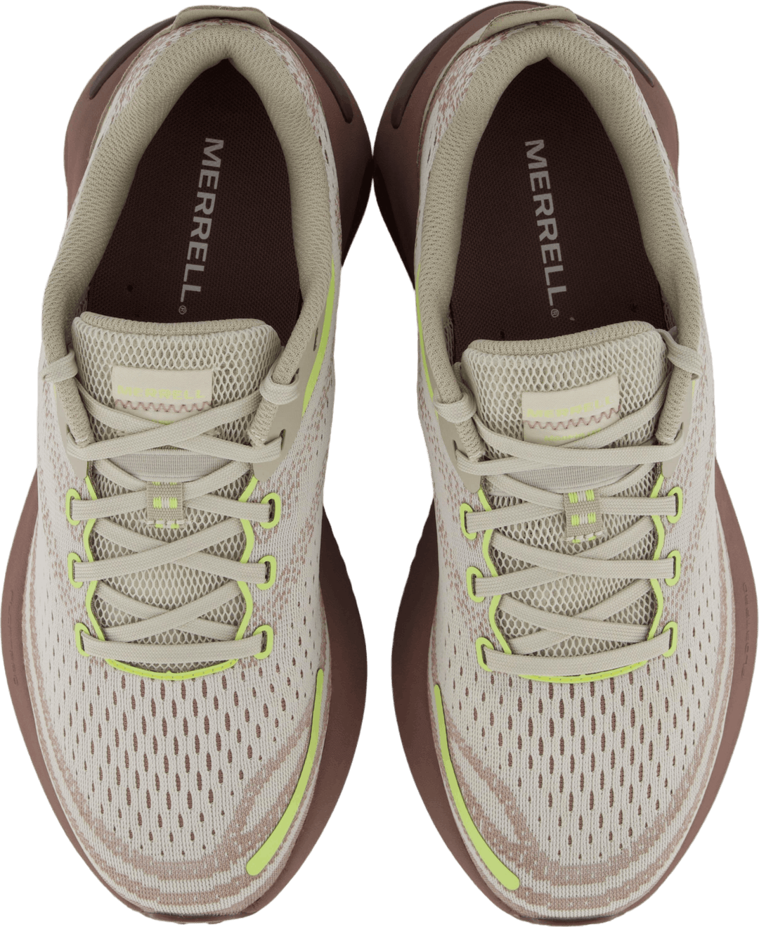 Morphlite Parchemnt/antler