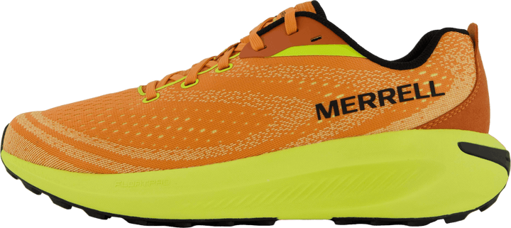 Morphlite Meloen/hi Viz