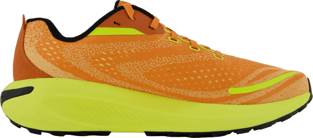 Morphlite Meloen/hi Viz