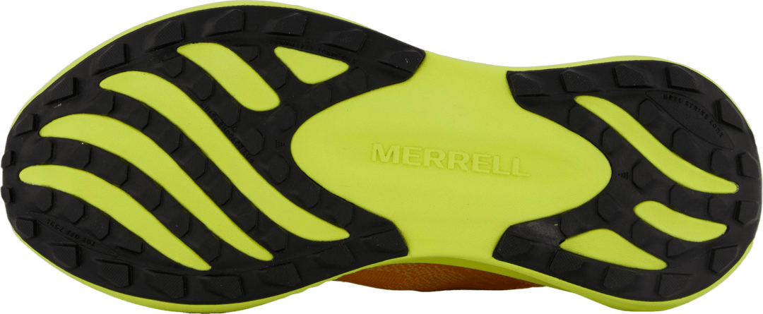 Morphlite Meloen/hi Viz