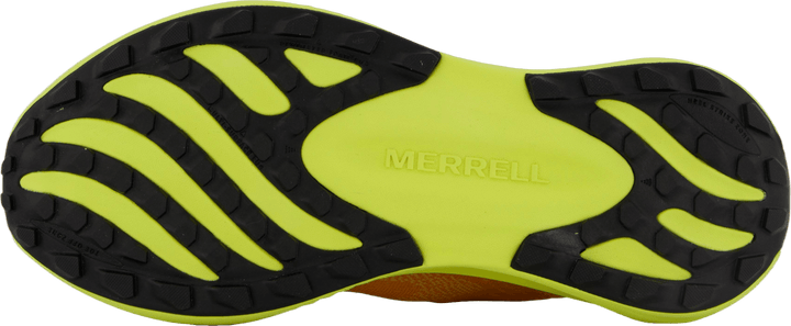 Morphlite Meloen/hi Viz