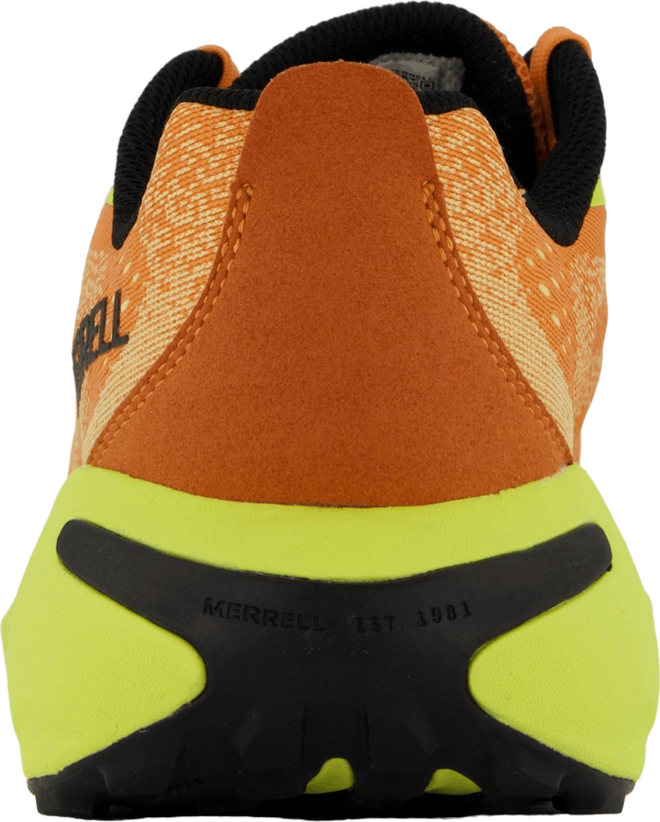 Morphlite Meloen/hi Viz