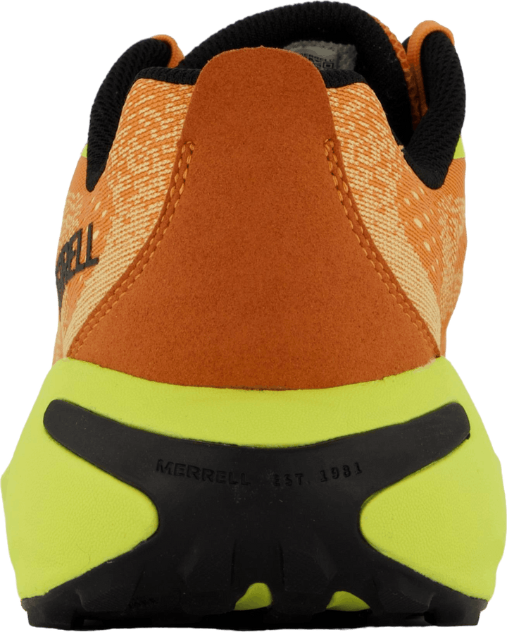 Morphlite Meloen/hi Viz