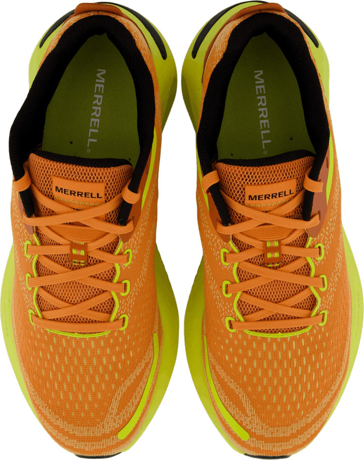 Morphlite Meloen/hi Viz