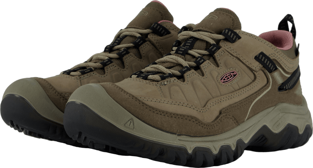 Ke Targhee Iv Wp W Brindle-nostalgia Rose