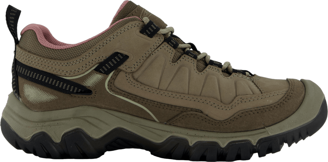 Ke Targhee Iv Wp W Brindle-nostalgia Rose