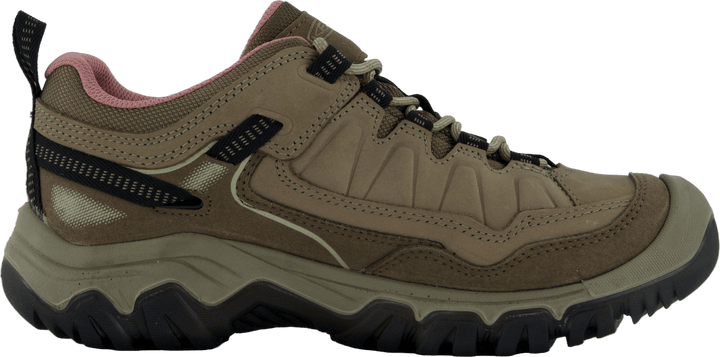 Ke Targhee Iv Wp W Brindle-nostalgia Rose
