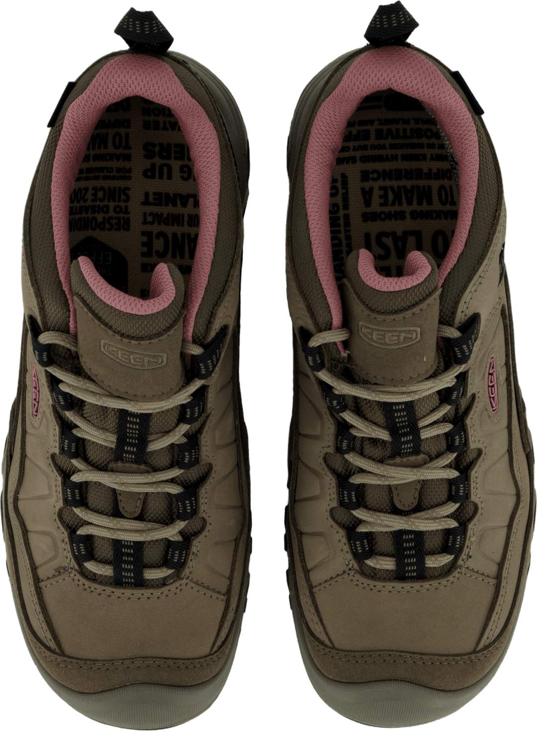 Ke Targhee Iv Wp W Brindle-nostalgia Rose