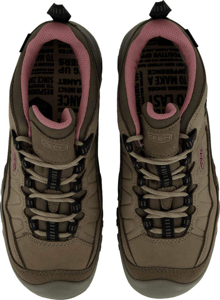 Ke Targhee Iv Wp W Brindle-nostalgia Rose