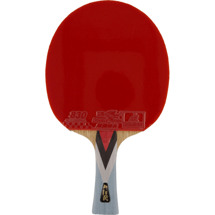 4a+ Table Tennis Racket
