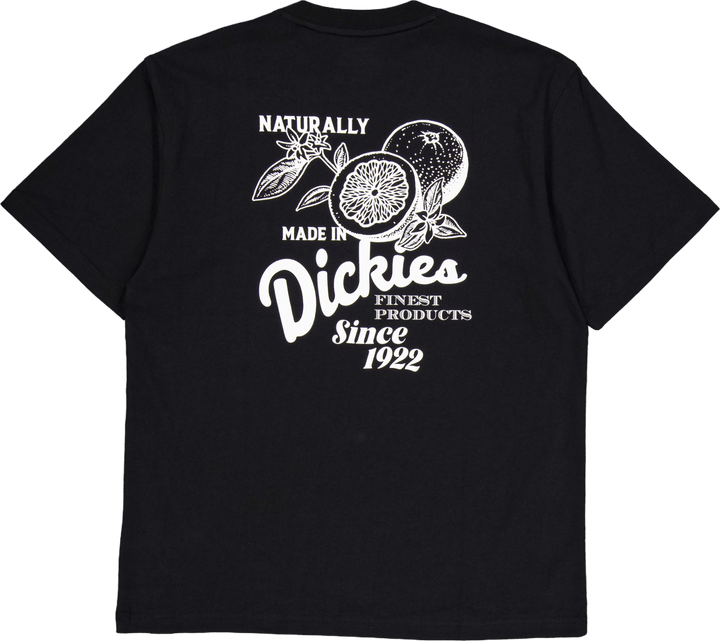 Raven Tee Ss Black