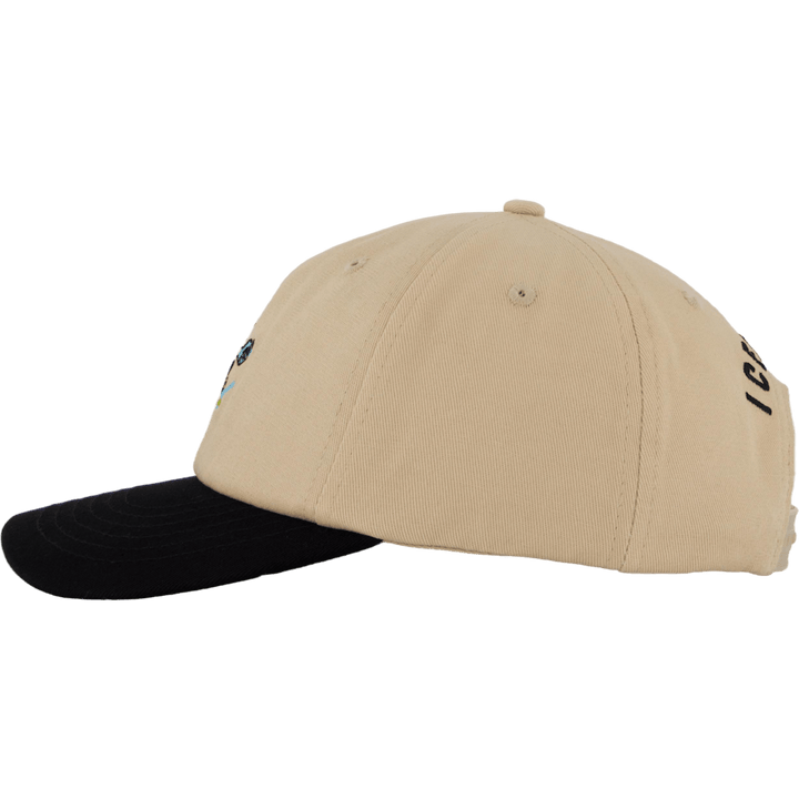Team Eu Skate Cone Dad Cap Beige