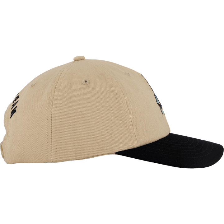 Team Eu Skate Cone Dad Cap Beige