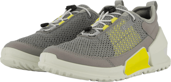 Ecco Biom K1 Wild Dove/wild Dove/buttercup