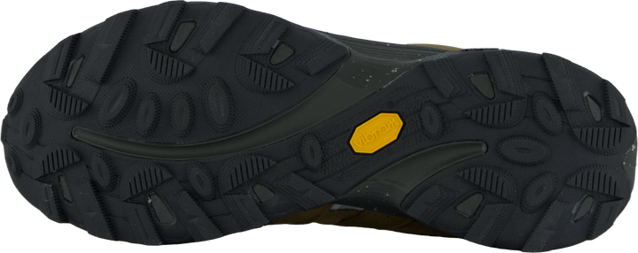 Moab Speed Zip Gtx Se Coyote Olive