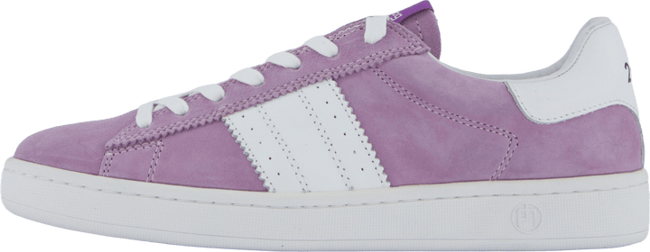 Stella Lilac