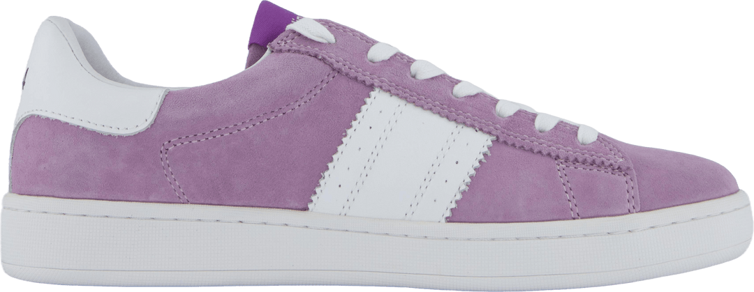 Stella Lilac
