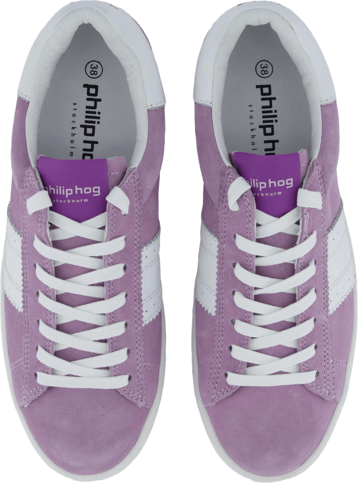 Stella Lilac