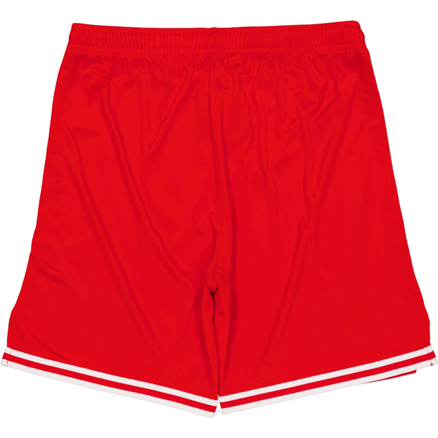 Hoops Team Game Short Puma Red