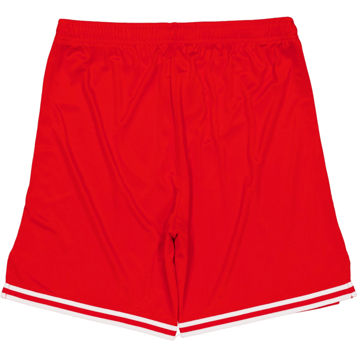 Hoops Team Game Short Puma Red