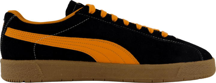 Delphin Black
