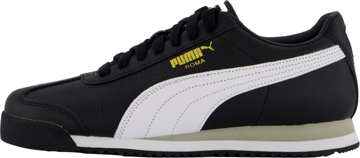 "Roma 24 Standard Black