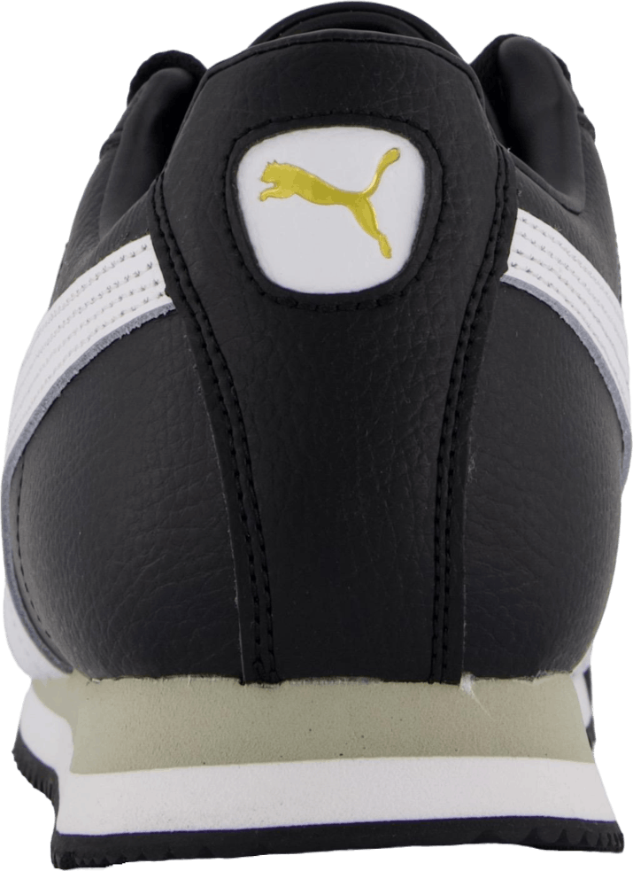 "Roma 24 Standard Black