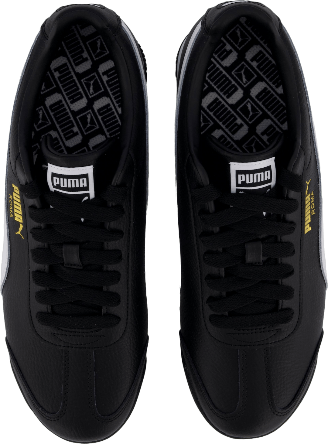 "Roma 24 Standard Black