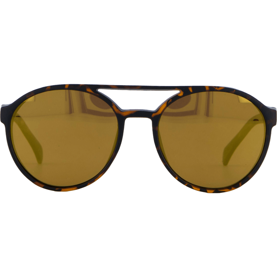 Rickard Turtle Brown