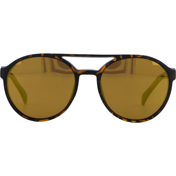 Rickard Turtle Brown