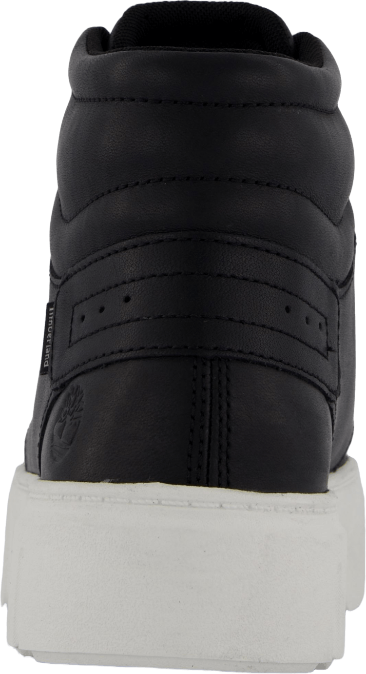 Sneaker à lacets haut de gamme Noir Plein Grain