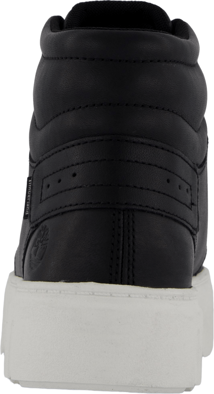 Sneaker à lacets haut de gamme Noir Plein Grain