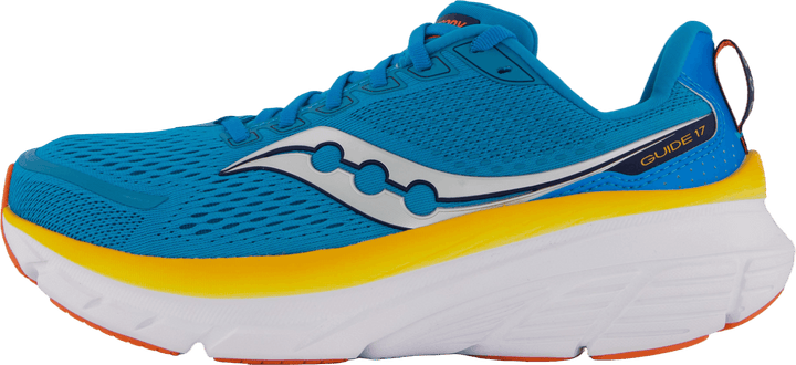 Guide 17 Blue