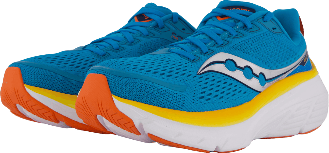 Guide 17 Blue