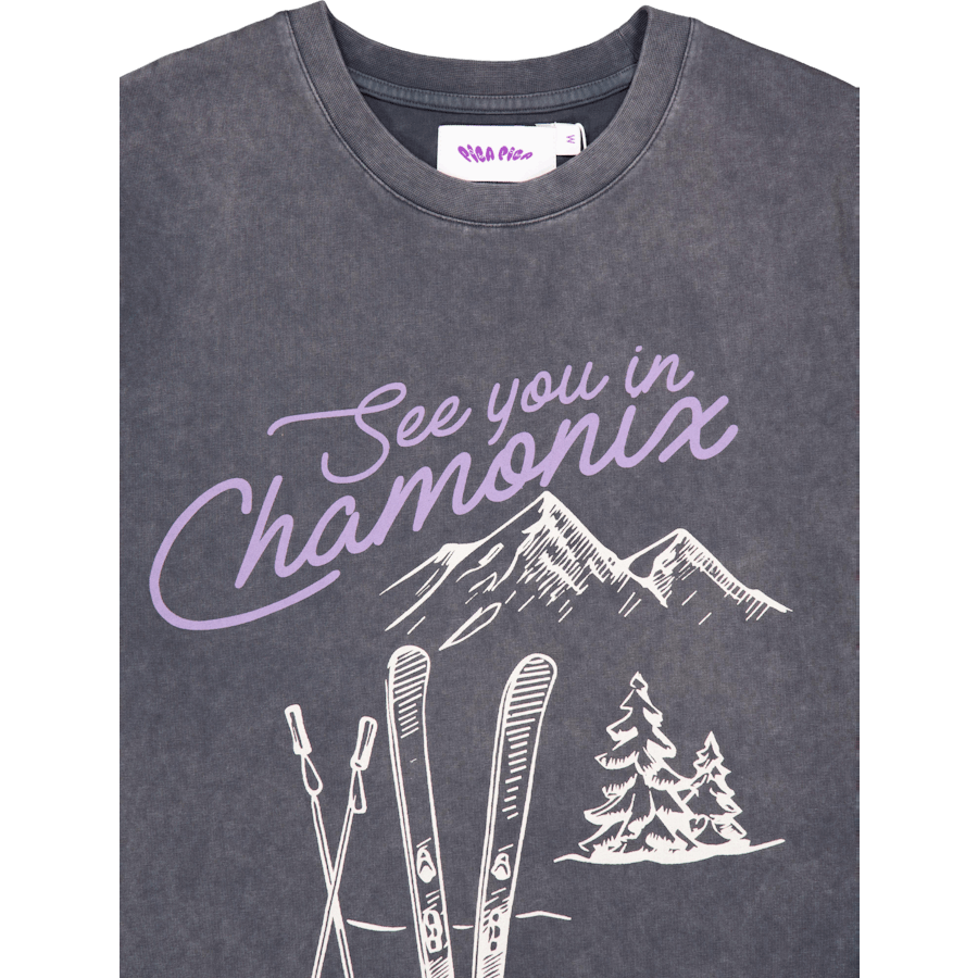 Pica Goes Skiing T-shirt Washed Black