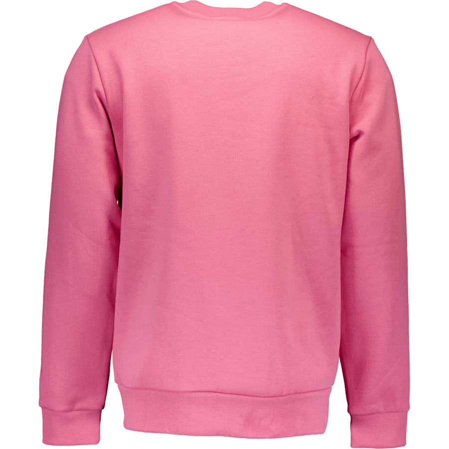 Sudadera polar cepillada 2r3 Reseda rosa
