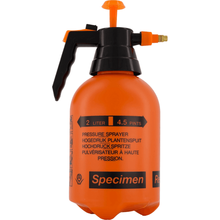 Srl . Sprinkle Spray Orange
