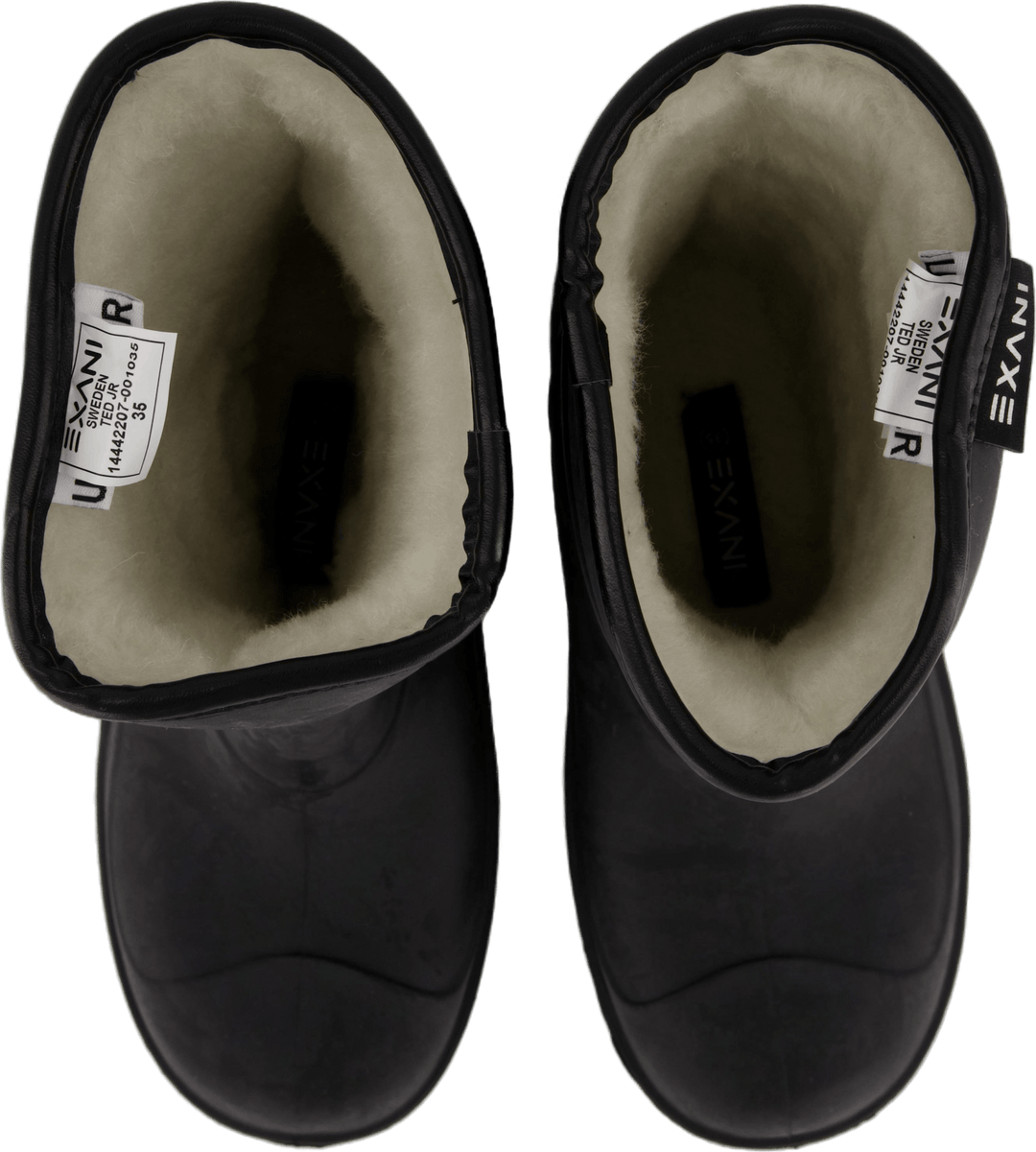 Ted Jr Black