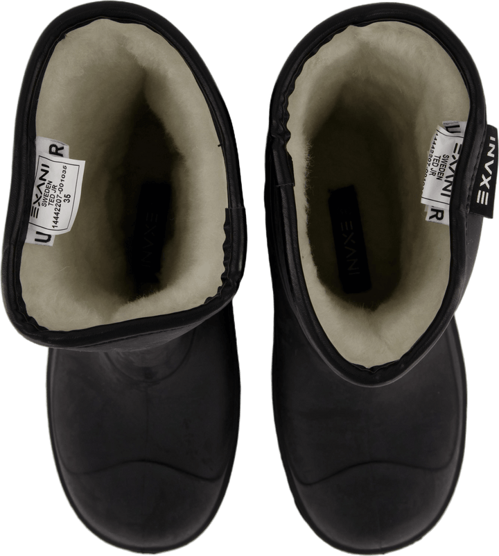 Ted Jr Black